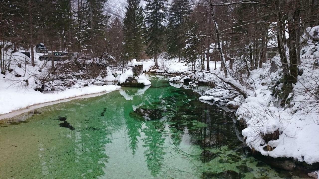 Apartment Amazing View Bohinj Exterior foto